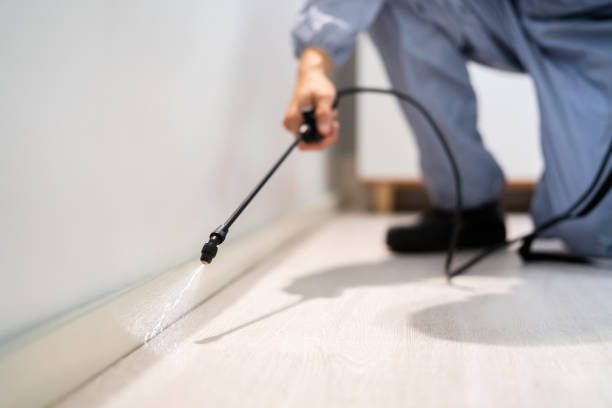 Bed Bug Pre-Treatment Preparation Assessment in Dalhart