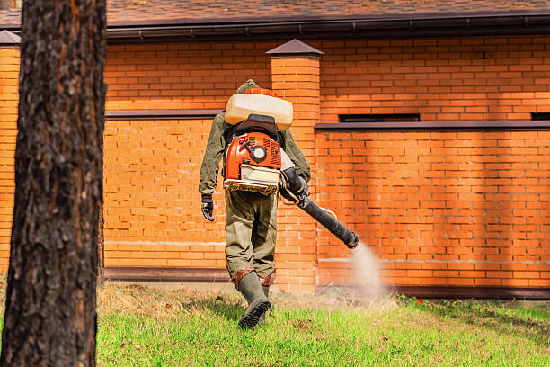 Bed Bug Clearance Verification and Documentation in Dalhart